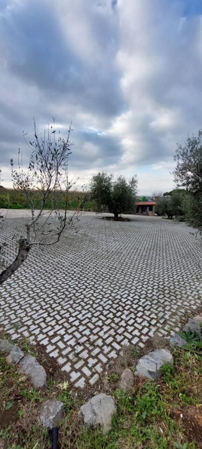 Merumalia Wine Resort Фраскати Экстерьер фото