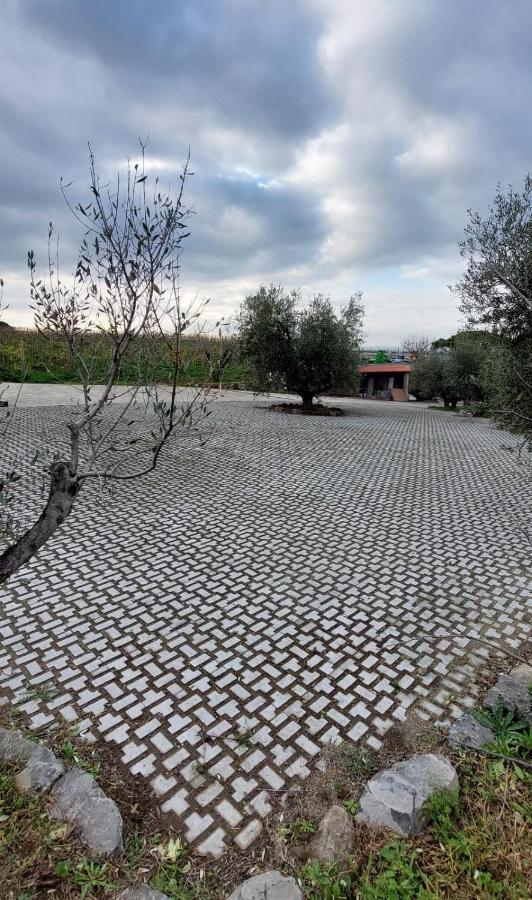 Merumalia Wine Resort Фраскати Экстерьер фото