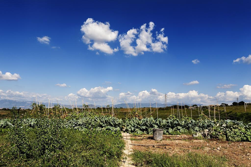 Merumalia Wine Resort Фраскати Экстерьер фото