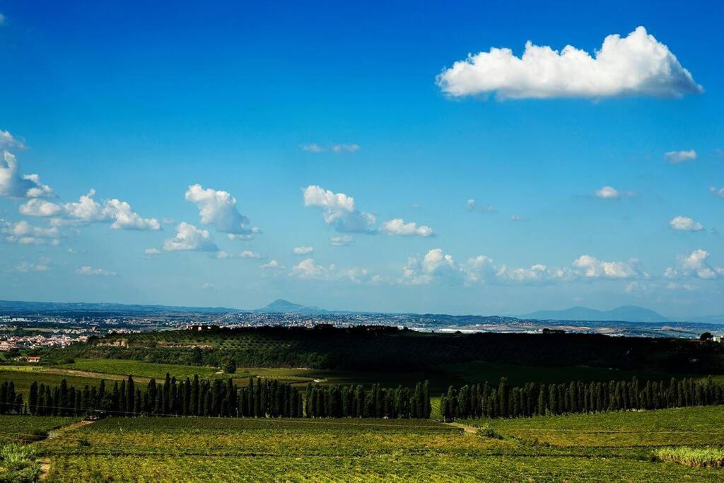 Merumalia Wine Resort Фраскати Экстерьер фото