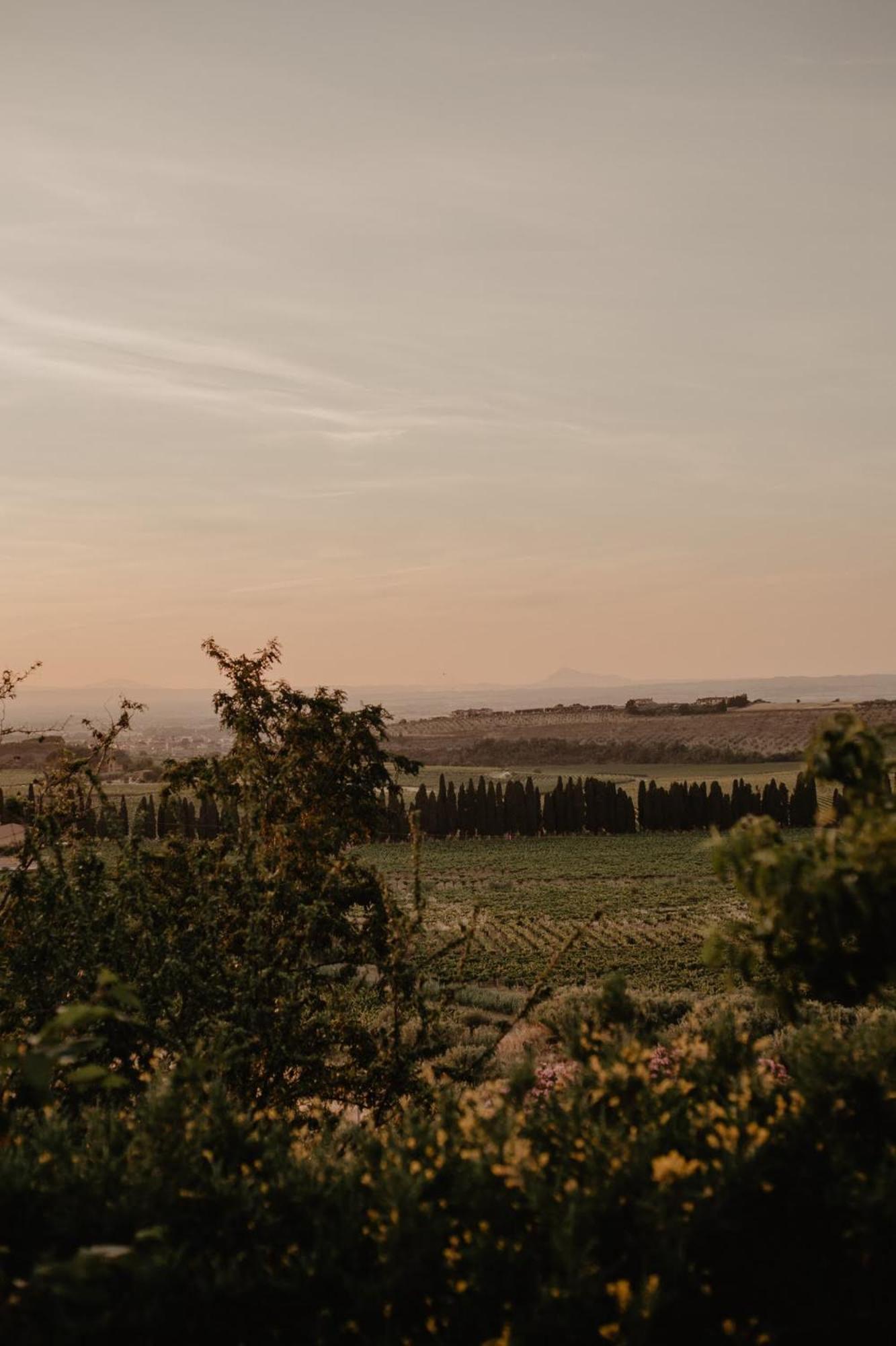 Merumalia Wine Resort Фраскати Экстерьер фото