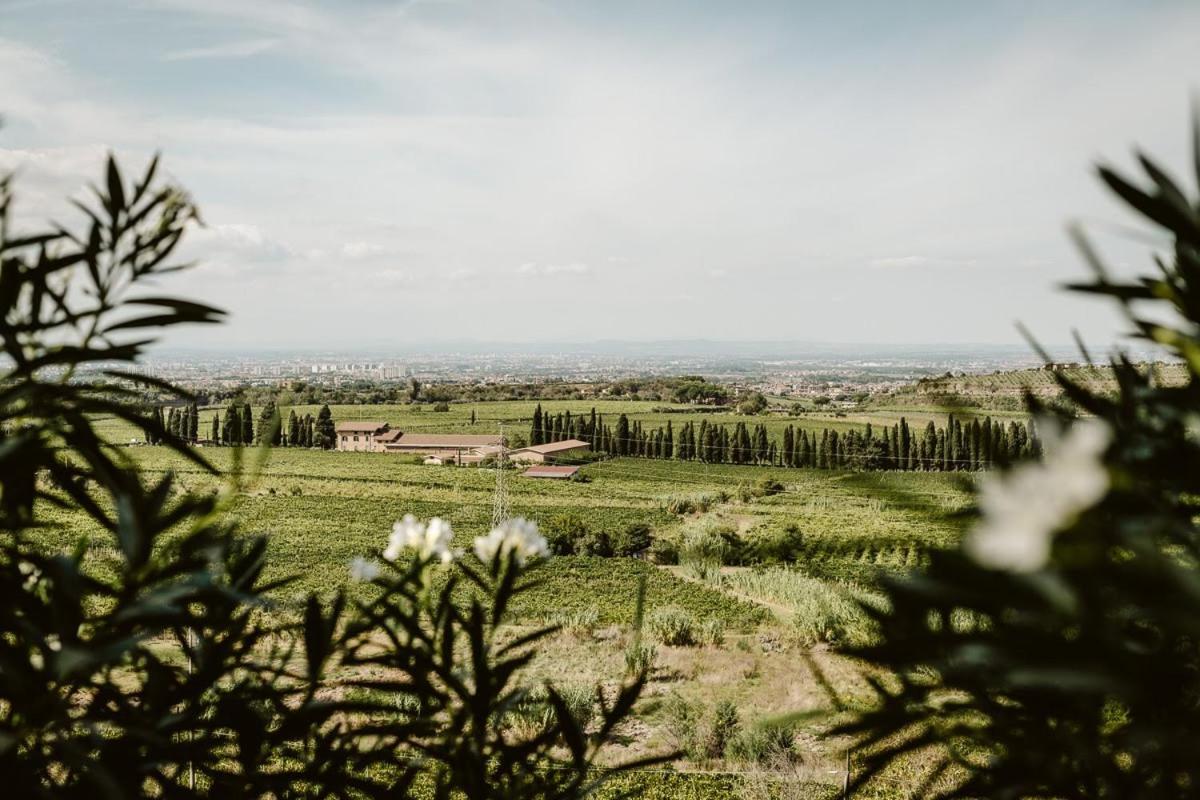 Merumalia Wine Resort Фраскати Экстерьер фото