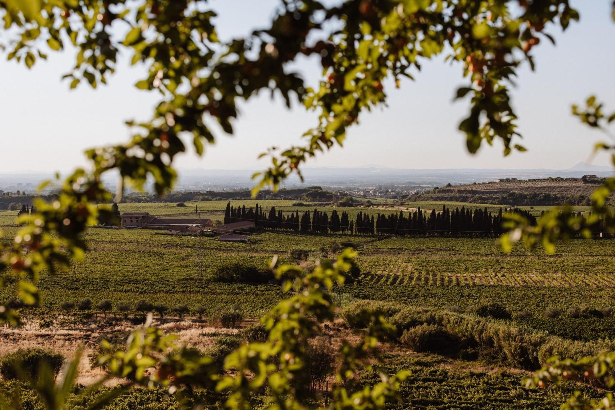 Merumalia Wine Resort Фраскати Экстерьер фото