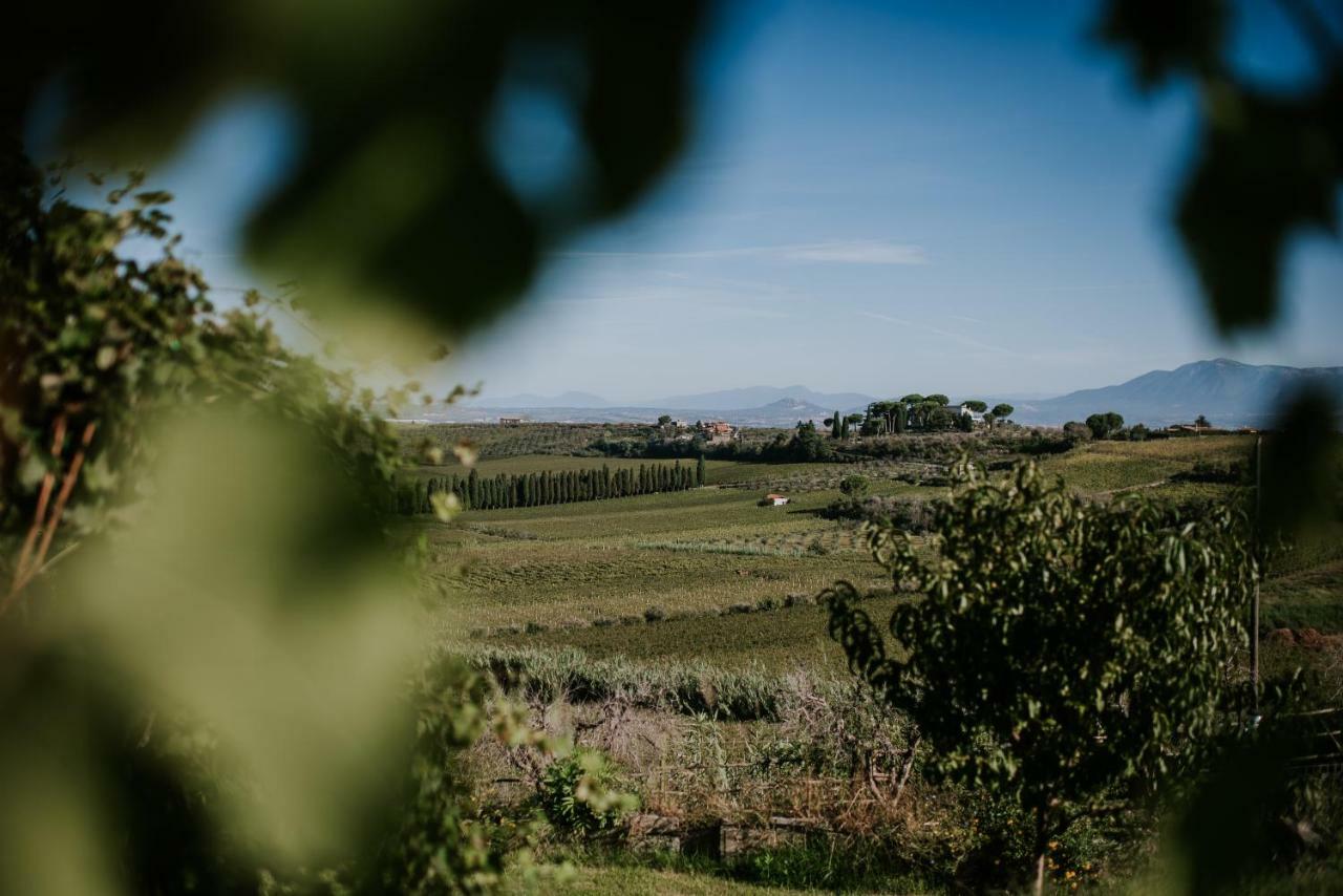 Merumalia Wine Resort Фраскати Экстерьер фото